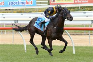 Flying Filou wins at Mornington Flying Filou wins at Mornington